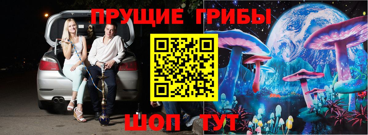 Псилоцибиновые грибы Psilocybine cubensis Санкт-Петербург